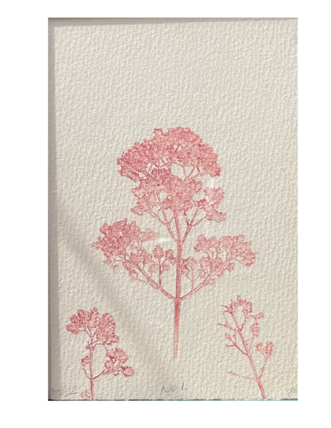 Charlotte Holt - New Life Series