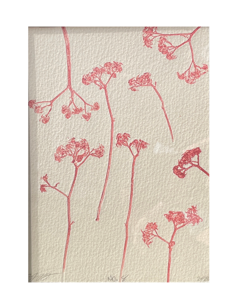 Charlotte Holt - New Life Series