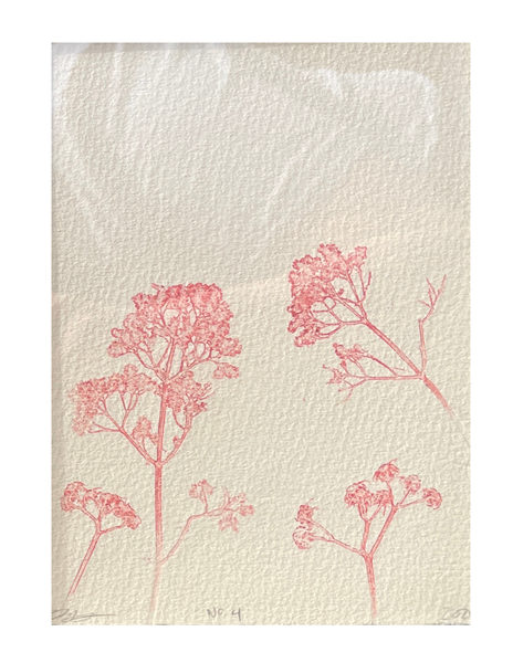 Charlotte Holt - New Life Series
