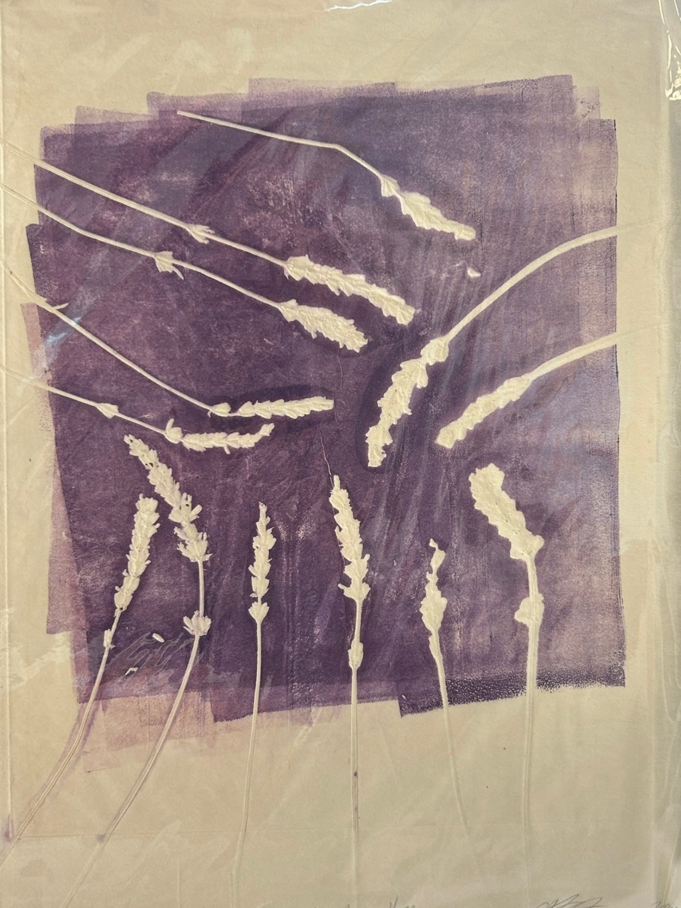 Monotype