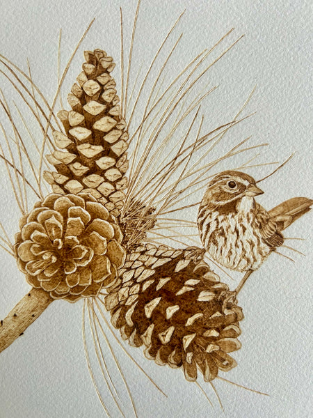 Pinecones & Sparrow by Carrie LaDuke