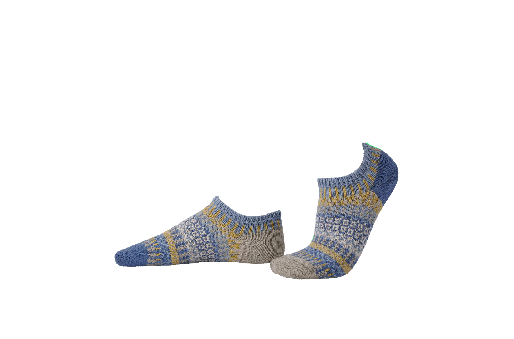 Adult Ankle- Chicory