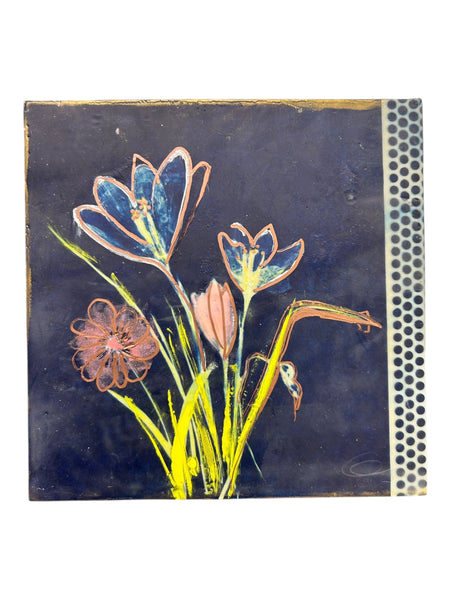 Crocus