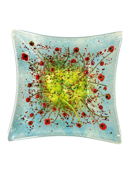 Square Bowl