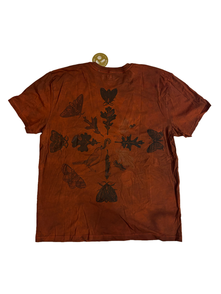 Burnt Sienna  XL- Test Print