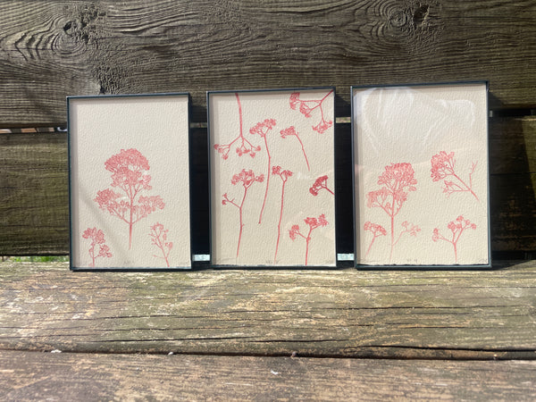 Charlotte Holt - New Life Series