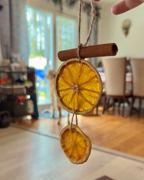 Dried Orange Slice Ornamanet