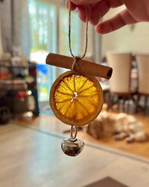 Dried Orange Slice Ornamanet