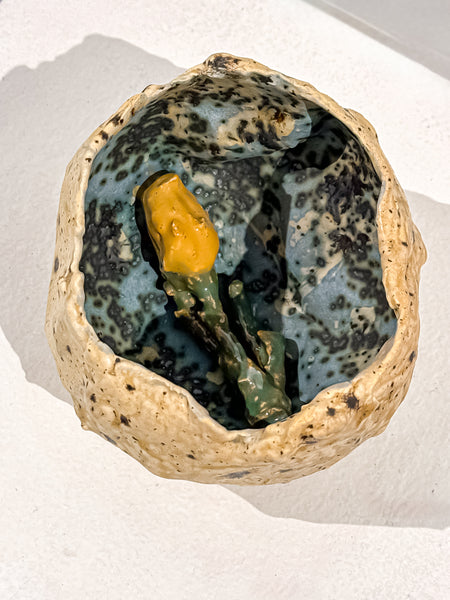 Yellow Flower