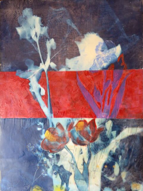 Michele Randall - Under the Shadow of a Tulip
