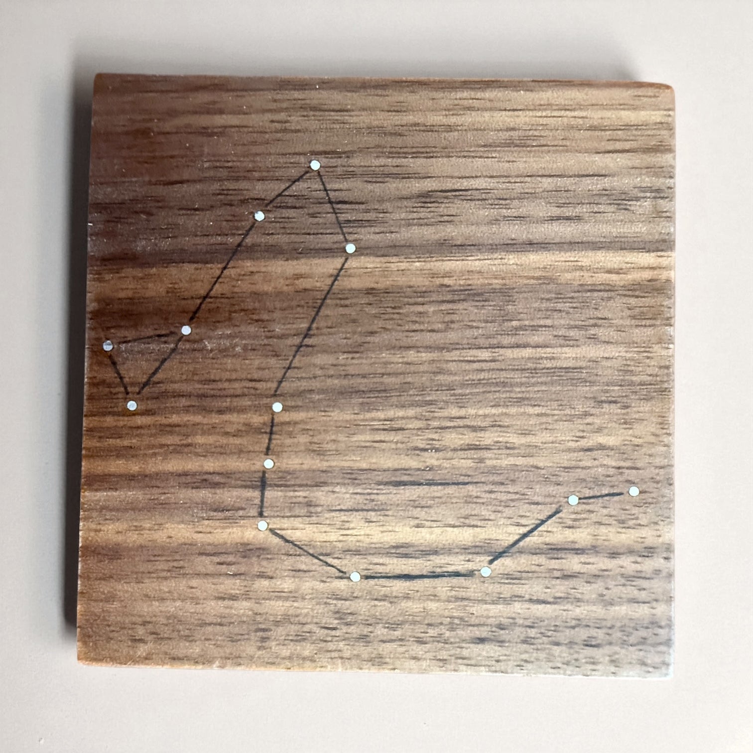 Constellation Coaster