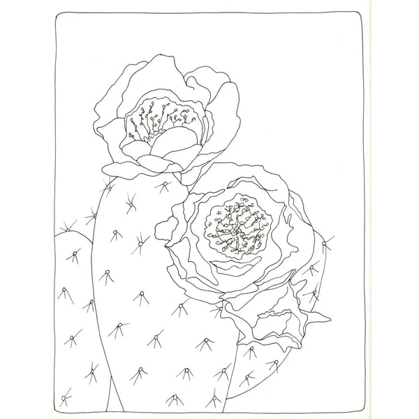 Blossoming Cacti Coloring Card Set
