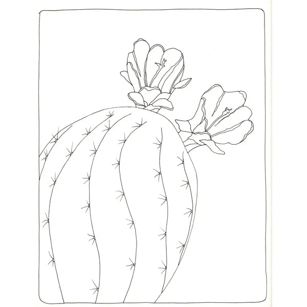 Blossoming Cacti Coloring Card Set