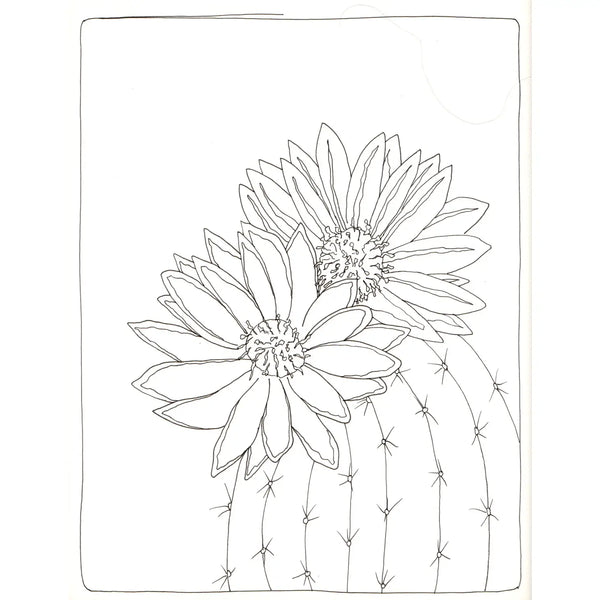 Blossoming Cacti Coloring Card Set