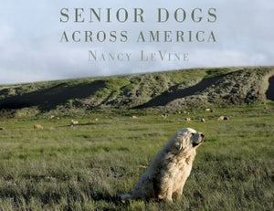Senior Dogs Across America