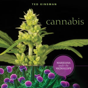 Cannabis: Marijuana under the Microscope