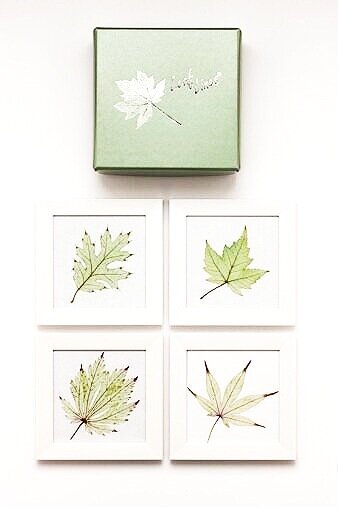 Set of Four Leaf Coasters - White