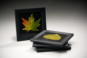 Set of Four Leaf Coasters - Black