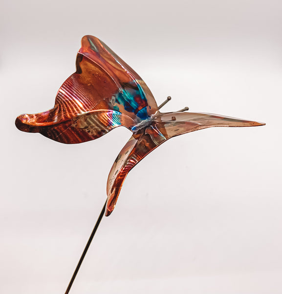 Mini Butterfly