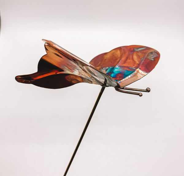 Mini Butterfly