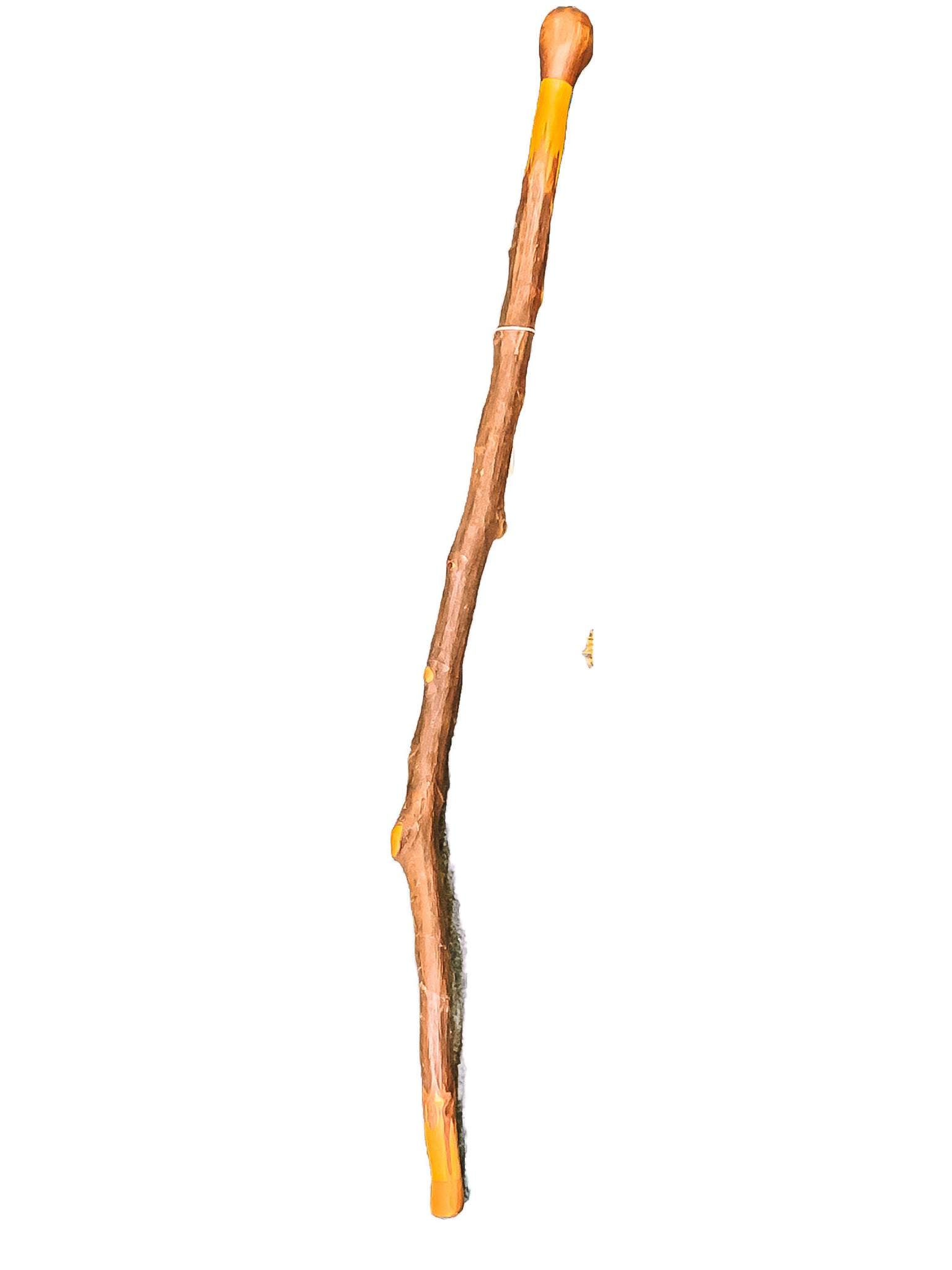 Maple Walking Stick